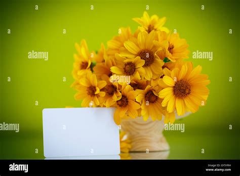 bouquet of yellow daisies Stock Photo - Alamy