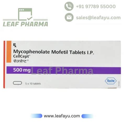 Mycophenolate Mofetil Tablets IP Cellcept 500 Mg At Rs 660 Stripe