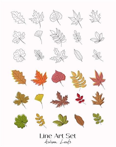 Set Of Hand Drawn Outline Autumn Leaves Doodles Black And Color