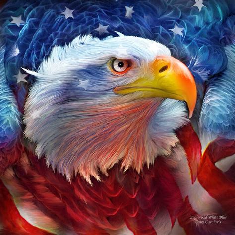 Eagle Red White Blue By Carol Cavalaris Redbubble