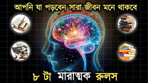 Brain Rules How To Increase Brain Power And Concentration For