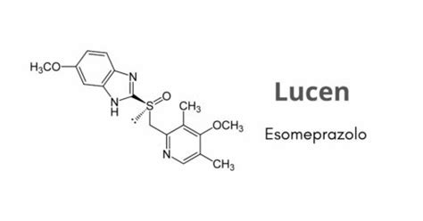 Quando Si Prende Lucen Prima O Dopo I Pasti Torrinomedica