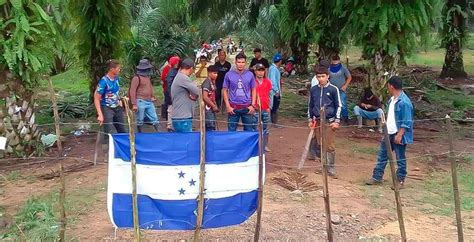 Aumento de invasiones de tierras pone en riesgo la inversión en