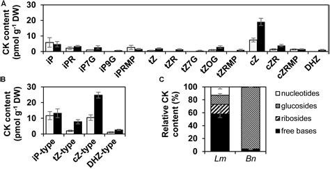 Frontiers Cytokinin Metabolism Of Pathogenic Fungus Leptosphaeria