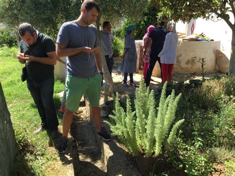 Morocco visit in search of Blue Tansy – Plant Therapy