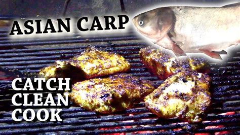 SILVER CARP Catch N Cook Grilled Vs Fried REVIEW YouTube