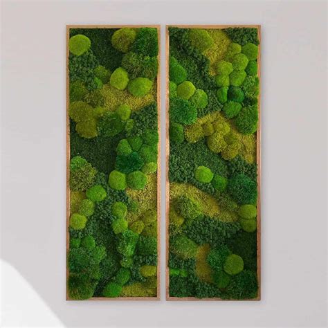 Moss Wall Art Moodrock Meseta Gardeners Emporium