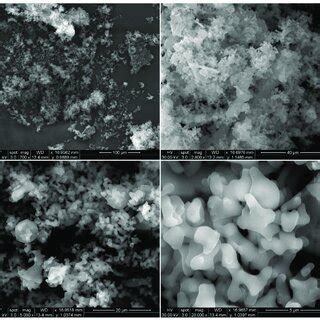 Sem Micrographs Of Rocbr At And Resolution