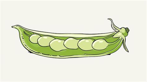 Premium Photo Fresh Green Peas In A Pod Isolated On White Background