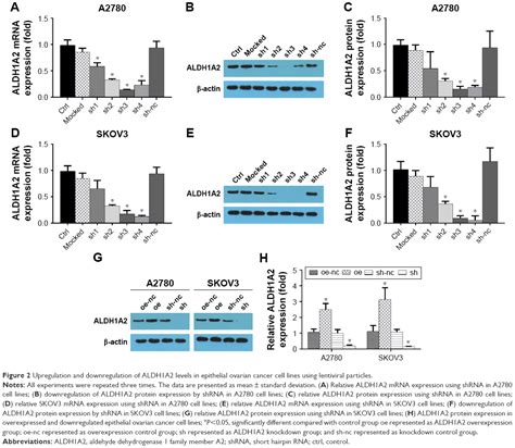 Aldh1a2 Suppresses Epithelial Ovarian Cancer Cell Proliferation And Mi