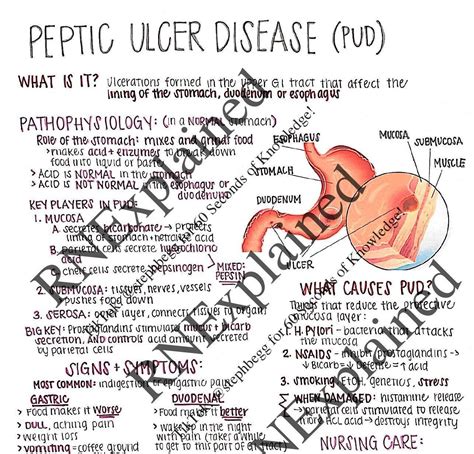 Peptic Ulcer Disease Nursing Study Sheets Etsy