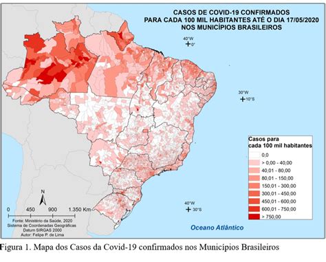 Covid 19 Na Região Metropolitana De Campinas Observatório Puc