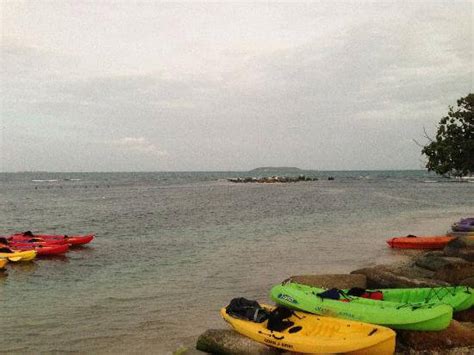 Bioluminescent Bay (Fajardo) | Puerto Rico