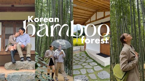 Korean Countryside Vlog Damyang Bamboo Forest Aesthetic Mountain