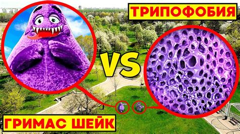 ТРИПОФОБИЯ vs ГРИМАС ШЕЙК **эпичное столкновение** - YouTube