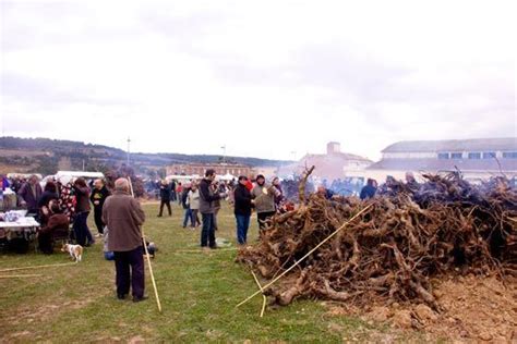 Aquest Diumenge El Pla Del Pened S Arrodonir La Tradicional Festa De