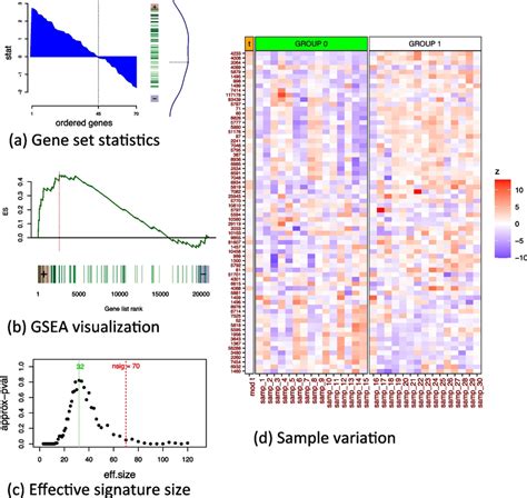 Roastgsa Output Figures A The Ordered Moderated T Statistics In