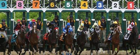 A History Of Horses Who Have Skipped The Preakness