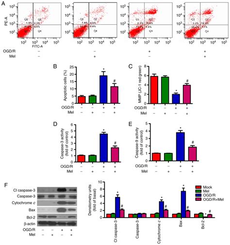 Melatonin Elicits Protective Effects On OGD Rinsulted H9c2 Cells By