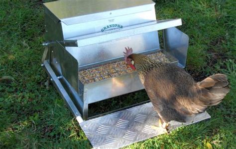 Grandpa's Feeder Chicken Treadle Feeder - My Favorite Chicken