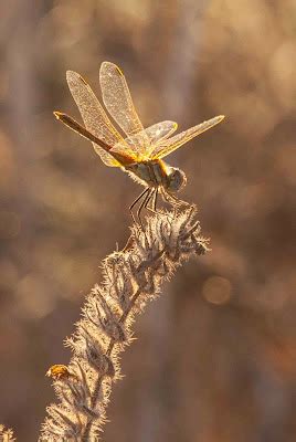 Simply Jews Aida Yespica Naked Uncensored Exclusive