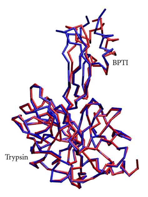 The Superposition Of The Predicted Trypsin BPTI Complex Blue With The