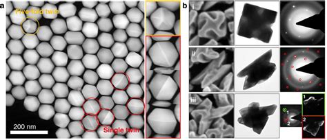 Effect Of Defects In The Low Index Plane Exposed Seeds On The