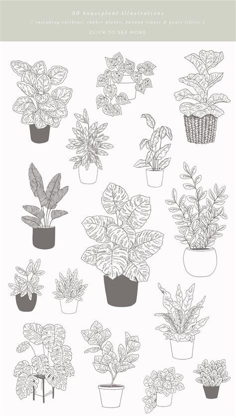 House #Plants Vector #Illustrations by Bea & Bloom on @creativemarket