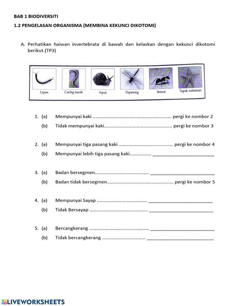 Latihan Kekunci Dikotomi | PDF