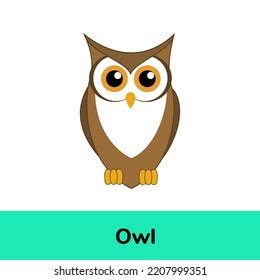 Owl English Word Flashcard Beginners Stock Illustration 2207999351 ...