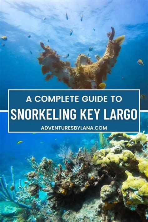 Key Largo Snorkeling A Detailed Guide On Tours Spots More