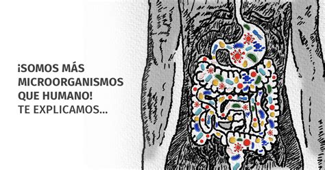 ¡somos MÁs Microorganismos Que Humano Te Explicamos Floratil Mx