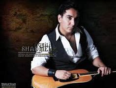 shadmehr aghili