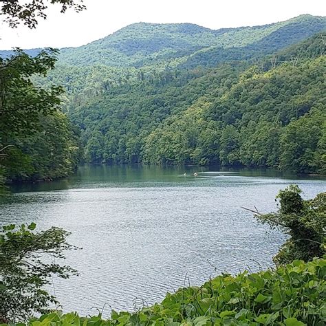 Kayakers on Lake Santeelah : r/camping