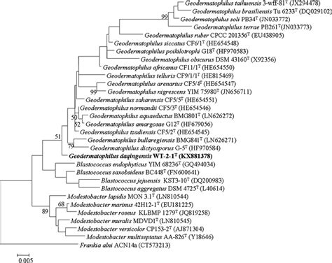 Maximum Likelihood Phylogenetic Tree Based On S Rrna Gene Sequences