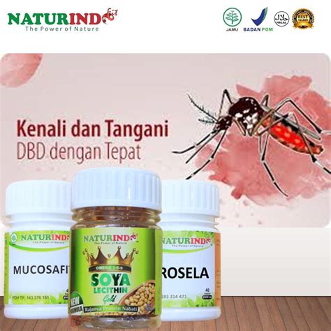 Jual Obat Demam Berdarah Dbd Herbal Demam Berdarah Ampuh Tanpa Efek