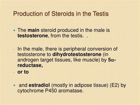 Ppt Steroid Hormonescongenital Adrenal Hyperplasia And Testicular Feminaization Powerpoint