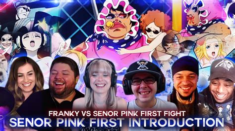 Senor Pink Introduction Franky Vs Senor Pink Reaction Mashup Youtube