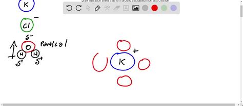 Draw the hydration shells that form around a potassium ion and a ...