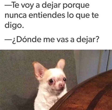 Ella Quieres Entrar Y Tomar Un Caf Yo No Gracias Ya Es Muy Tarde