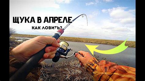 Как ловить щуку в апреле? - YouTube