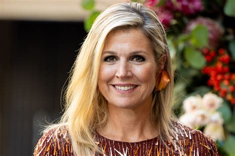 Metallic Máxima: onze koningin schittert van top tot teen in pailletten ...