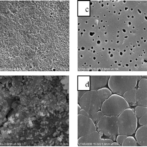 Sem Micrographs Of A Speek Sio Siwa B Speek Sio Siwa Aptes C