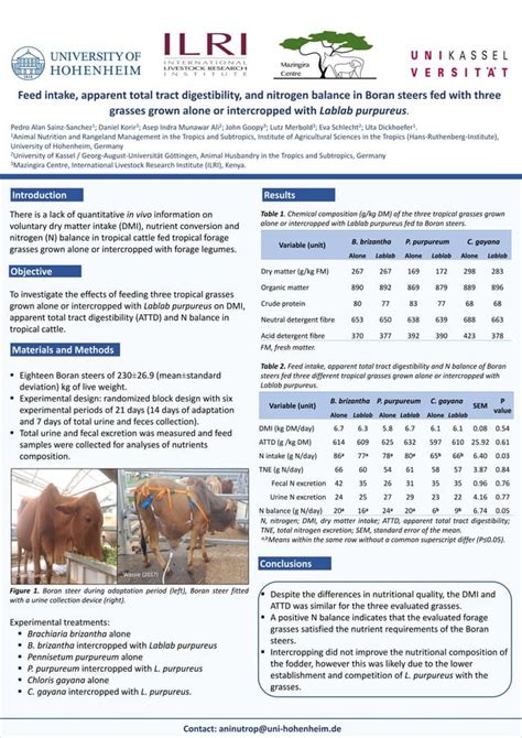 Feed Intake Apparent Total Tract Digestibility And Nitrogen Balance