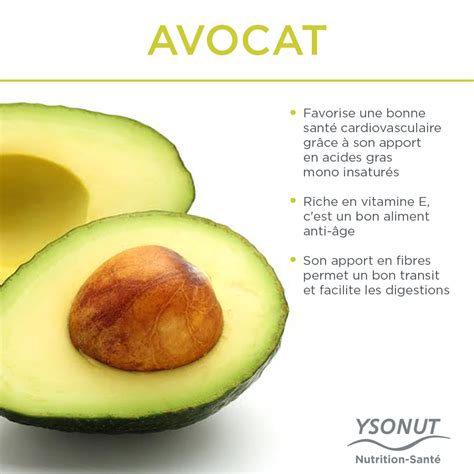 Bien Qu Il Soit Connu Pour Son Apport Calorique L Avocat Est L Un Des