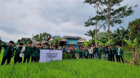 Solusi Pemberdayaan Masyarakat Melalui Program Csr Dan Community