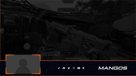 Mangos - Dynamic Animated Gaming Overlay :: Behance