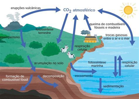 Ciclo Del Carbono Mapa Konzeptionell