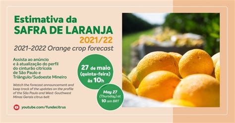 Fundecitrus Divulga Estimativa Da Safra De Laranja Em De