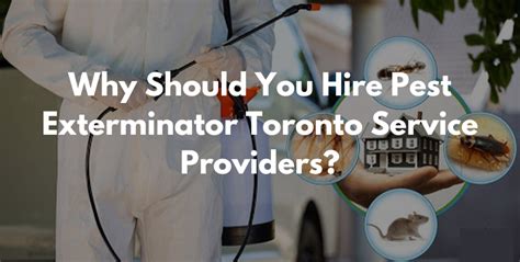 Why Should You Hire Pest Exterminator Toronto Service Providers